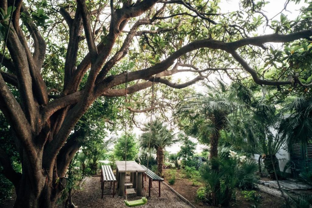 Villa Soti มลินี ภายนอก รูปภาพ